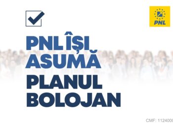 PNL anunță că-și asumă planul lui Ilie Bolojan, noul președinte al partidului, de reformare profundă a României