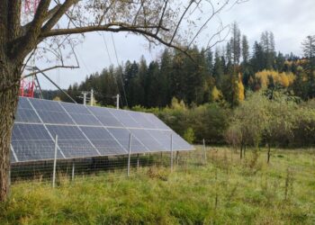 AJOFM Suceava organizează cursuri pentru meseria de instalator de panouri fotovoltaice