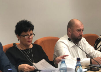 Doi noi membri în Consiliul Județean Suceava: Serenela Simireanu și Vasile Pîrlac