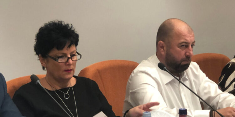 Doi noi membri în Consiliul Județean Suceava: Serenela Simireanu și Vasile Pîrlac