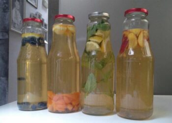 Ce întreabă românii despre kombucha?