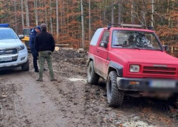 Doi bărbați bănuiți că se aflau în căutare de trufe negre au fost amendați de jandarmi, pentru că nu plimbau cîinii în lesă. Jandarmii nu au găsit nici o trufă