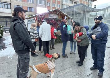 Patru cîini, adoptați la Tîrgul de Adopții organizat în centrul Sucevei