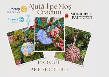 Expoziție de brazi de Crăciun, la Fălticeni. În schimbul unei donații de 500 de lei poți primi un brad împodobit, după data de 20 decembrie
