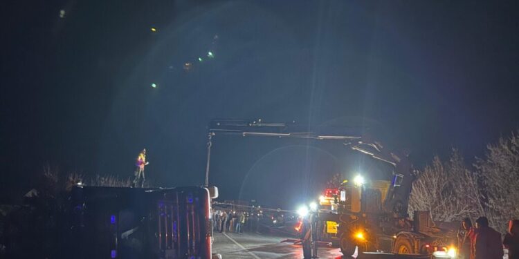 Spătărești. Animale rănite, după ce remorca în care se aflau s-a răsturnat