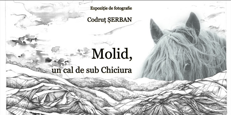 Expoziția de fotografie „Molid, un cal de sub Chiciura”, cu lucrări semnate de Codruț Șerban, de la USV