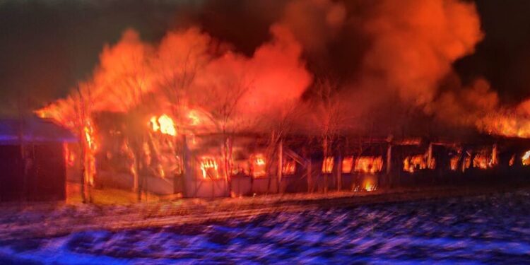 Aproximativ 6.000 de porcine au ars în incendiul de la Moara. Nu s-a putut stabili, deocamdată, cauza incendiului. Doar ferma era asigurată, nu și efectivul de animale