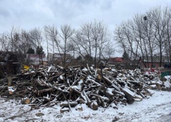 Peste 20 de familii din Suceava vor beneficia de lemn gratuit. Lemnul provine din lucrările de tăiere și toaletare a arborilor efectuate pe domeniul public al municipiului