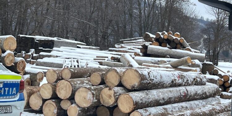 Un tînăr beat și fără permis, depistat la volanul unui autoutilitare pline cu lemn fără documente legale