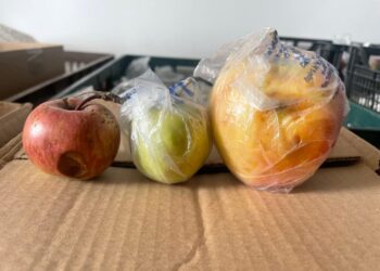 Sesizări privind calitatea merelor oferite elevilor. Vicepreședintele CJ Suceava Nicolae Robu: Astfel de produse nu au ce căuta pe mesele copiilor noștri!