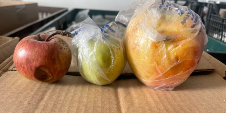 Sesizări privind calitatea merelor oferite elevilor. Vicepreședintele CJ Suceava Nicolae Robu: Astfel de produse nu au ce căuta pe mesele copiilor noștri!