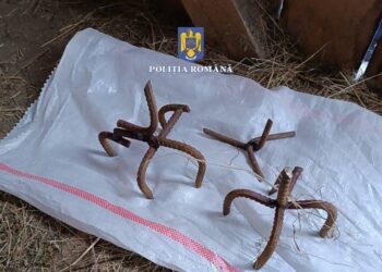 Un ”iubitor de natură”, reținut în arest pentru că spărgea intenționat cauciucurile TAF-urilor care exploatează lemn în satul său