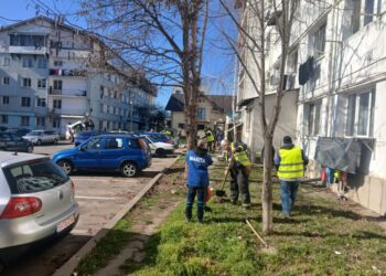 Sucevenii care parchează pe zonele verzi destinate replantării de iarbă și arbori, atenționați