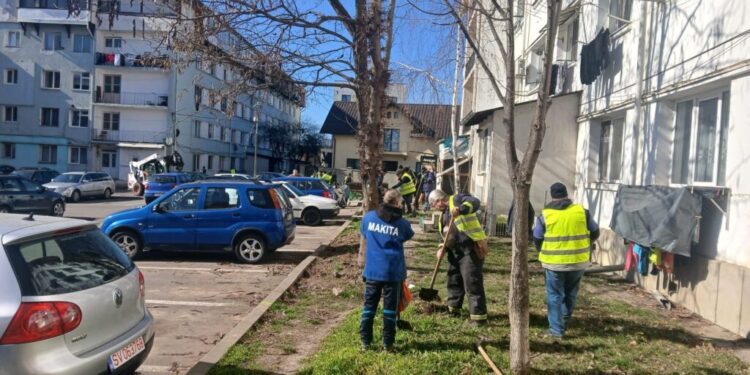 Sucevenii care parchează pe zonele verzi destinate replantării de iarbă și arbori, atenționați