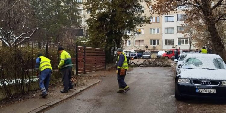 Lucrări de reabilitare pe strada Doamna Maria Voichița
