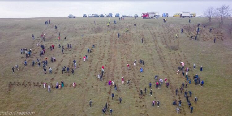 100 de participanți la o acțiune de plantare în comuna Udești, printre care și deținuți de la Penitenciarul Botoșani