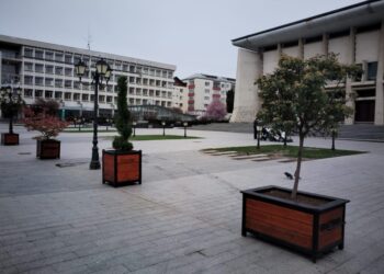 Niște sculpturi parcă ar da mai bine în centrul Sucevei