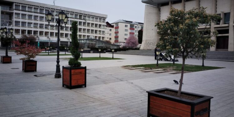 Niște sculpturi parcă ar da mai bine în centrul Sucevei