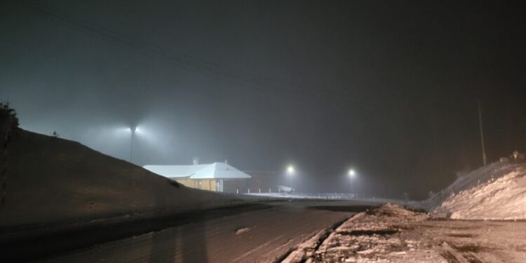Căderi de arbori pe carosabil sub greutatea zăpezii pe DN 17, în zona Iacobeni și Valea Putnei. Pe întreaga rețea de drumuri naționale din județul Suceava carosabilul este umed