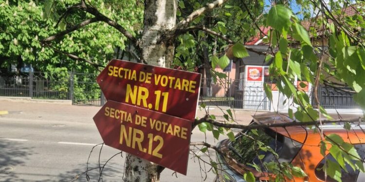 Obicei prost în Suceava. Copaci ciuruiți, pentru a le arăta alegătorilor drumul către secțiile de vot