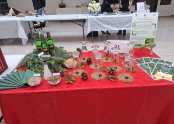 O bere cu gust de brad, cîștigătoarea celei de-a VI-a ediții a FIA Food Fest, eveniment organizat de Facultatea de Inginerie Alimentară Suceava (Foto)