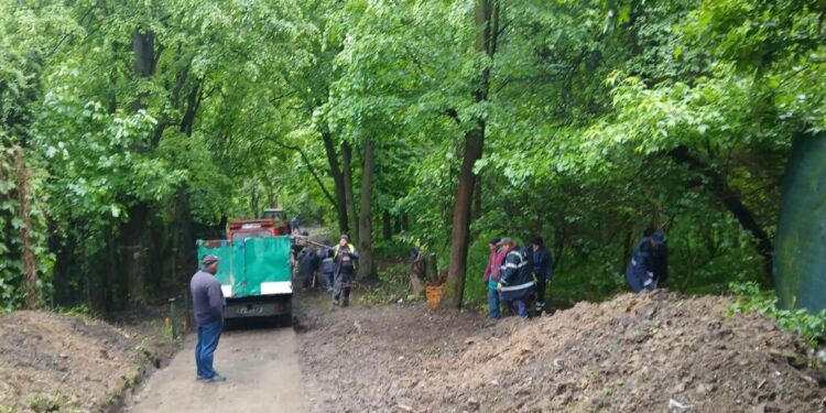 Lucrări de igienizare pe aleea de acces în Parcul Șipote, dinspre strada Luca Arbore