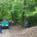 Lucrări de igienizare pe aleea de acces în Parcul Șipote, dinspre strada Luca Arbore