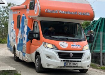 Primăria Municipiului Suceava a dat startul campaniilor de sterilizări. În prima fază a proiectului se vor steriliza cîinii şi pisicile de rasă comună ”de pe raza şi teritoriul Municipiului Suceava”