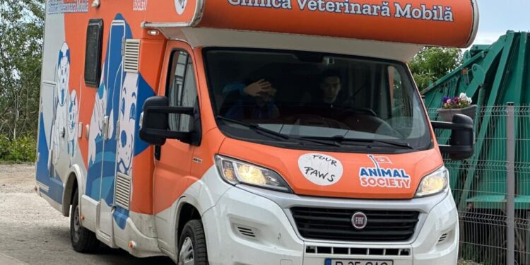 Primăria Municipiului Suceava a dat startul campaniilor de sterilizări. În prima fază a proiectului se vor steriliza cîinii şi pisicile de rasă comună ”de pe raza şi teritoriul Municipiului Suceava”
