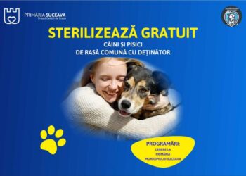 Se pot depune cereri la Primăria Suceava pentru sterilizarea gratuită a cîinilor și pisicilor. Vor fi sterilizați 500 de cîini și 200 de pisici