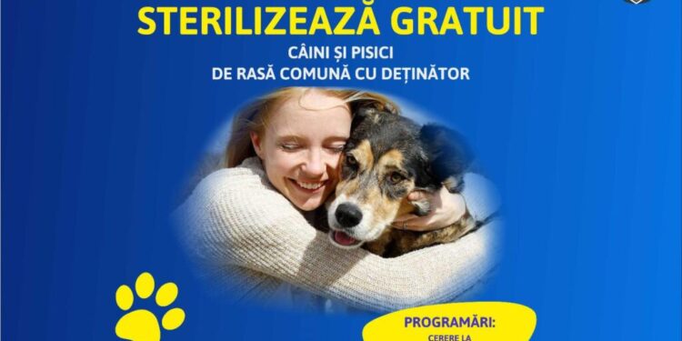 Se pot depune cereri la Primăria Suceava pentru sterilizarea gratuită a cîinilor și pisicilor. Vor fi sterilizați 500 de cîini și 200 de pisici