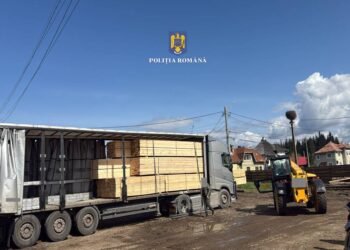 Tir de 100.000 de euro, confiscat de Poliție pentru un transport ilegal de cherestea în valoare de 35.000 de lei