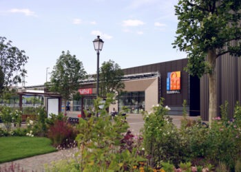 COMUNICAT DE PRESĂ: 180 de arbori, vegetație matură și facilități pentru recreere în noua zonă verde dedicată comunității, la Iulius Mall Suceava