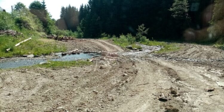 Firmă amendată de Garda de Mediu pentru depozitarea lemnelor pe cursul de apă