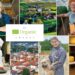 Piața Volantă ”Din drag de Bucovina”, în finala Premiilor UE pentru produse ecologice 2025, la categoria ”Cel mai bun comerciant de alimente organice”. Au fost selectate proiecte din 13 țări din Uniunea Europeană