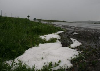 Grindina a făcut pagube pe 636 de hectare de teren din patru localități sucevene, inclusiv în municipiul reședință de județ