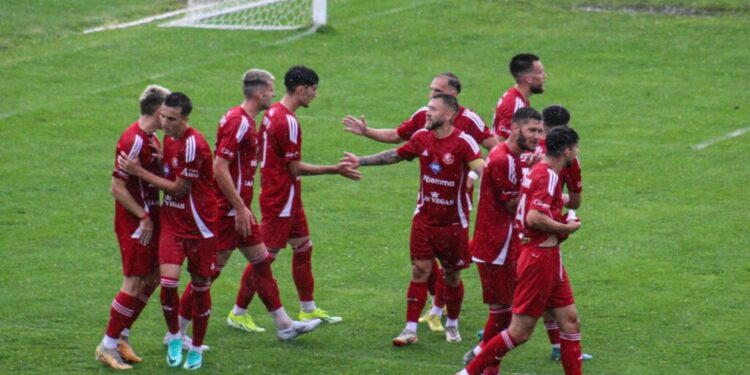 Șoimii Gura Humorului speră la un rezultat bun cu Sepsi OSK Sfîntu Gheorghe, în Cupa României. Intrarea la meciul de pe ”Areni” va fi 20 de lei. Copiii vor avea acces gratuit pe stadion