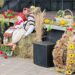 ”Sărbătoarea Roadelor de la Solonețu Nou este o ocazie excelentă de a cunoaște comunitatea poloneză din România, din pitoreasca Bucovină” (Foto)