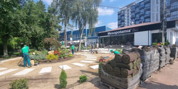 Și-au luat Suceava înapoi. Și fac ce vor cu ea