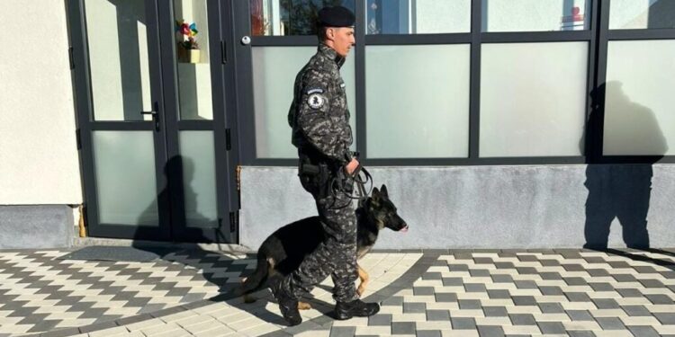 Jandarmii suceveni, alături de elevii din județ în cadrul programelor ”Școala altfel” și ”Săptămîna verde”. Prevenirea violenței și a bullyingului, între subiectele de discuție. Ava, cîinele de căutare-salvare al Jandarmeriei Suceava, în centrul atenției (Foto)