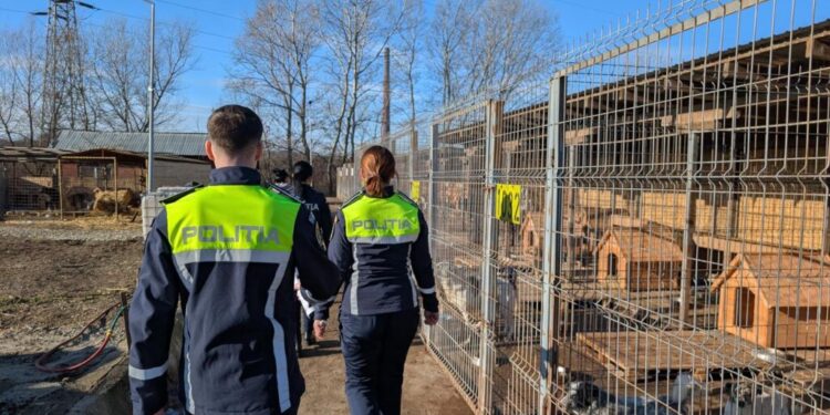 Biroul pentru Protecția Animalelor Suceava: De Ziua Mondială a Animalelor, îi rugăm pe toți deținătorii să privească dincolo de obligația legală și să ofere respect, grijă și afecțiune