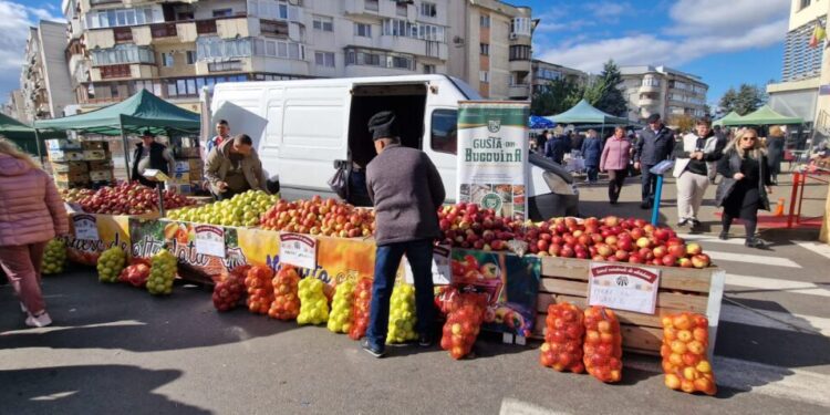 Mere, pere, în panere, și gutui cu puf galben ca de pui crescuți la sol în județul Suceava