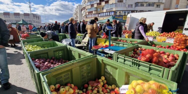 Aproximativ 20 de soiuri de mere, la Tîrgul Mărului de la Fălticeni. Nicolae Robu: Merele din Fălticeni au ajuns deja în marile lanțuri comerciale, dar este nevoie ca tot mai multe produse din Suceava să fie prezente (Foto)