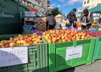 Aproximativ 20 de soiuri de mere, la Tîrgul Mărului de la Fălticeni. Nicolae Robu: Merele din Fălticeni au ajuns deja în marile lanțuri comerciale, dar este nevoie ca tot mai multe produse din Suceava să fie prezente (Foto)