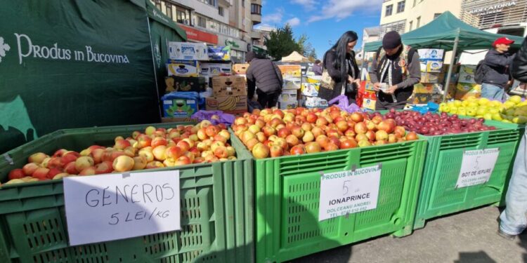 Aproximativ 20 de soiuri de mere, la Tîrgul Mărului de la Fălticeni. Nicolae Robu: Merele din Fălticeni au ajuns deja în marile lanțuri comerciale, dar este nevoie ca tot mai multe produse din Suceava să fie prezente (Foto)