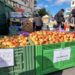 Aproximativ 20 de soiuri de mere, la Tîrgul Mărului de la Fălticeni. Nicolae Robu: Merele din Fălticeni au ajuns deja în marile lanțuri comerciale, dar este nevoie ca tot mai multe produse din Suceava să fie prezente (Foto)