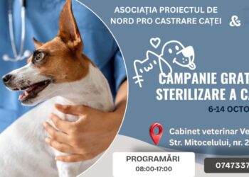 Clinica veterinară Vet Expert, campanie de sterilizare a cîinilor pînă pe 16 octombrie. Dr. Doru Lefter: Facem asta pentru oamenii cu posibilități reduse. Încercăm să reducem înmulțirea necontrolată a cîinilor în Suceava și în zonele limitrofe
