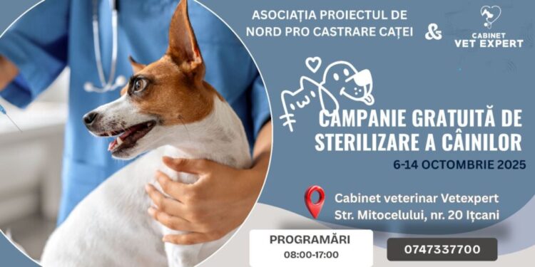Clinica veterinară Vet Expert, campanie de sterilizare a cîinilor pînă pe 16 octombrie. Dr. Doru Lefter: Facem asta pentru oamenii cu posibilități reduse. Încercăm să reducem înmulțirea necontrolată a cîinilor în Suceava și în zonele limitrofe