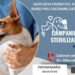 Clinica veterinară Vet Expert, campanie de sterilizare a cîinilor pînă pe 16 octombrie. Dr. Doru Lefter: Facem asta pentru oamenii cu posibilități reduse. Încercăm să reducem înmulțirea necontrolată a cîinilor în Suceava și în zonele limitrofe