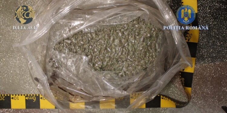 Tineri prinși cu droguri la Gura Humorului și la Vîrfu Cîmpului